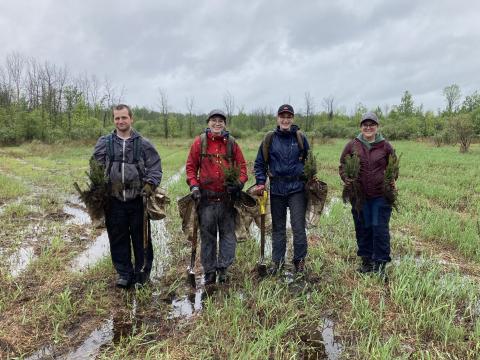 Agricultural Stewardship projects, such as this wetland on a South Glengarry farm, can benefit farming operations as well as the health of local watersheds.