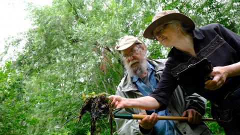 Dr. Frederick W. Schuler and Aleta Karstad searching for mussels at Cooper Marsh Conservation Area in South Glengarry. 