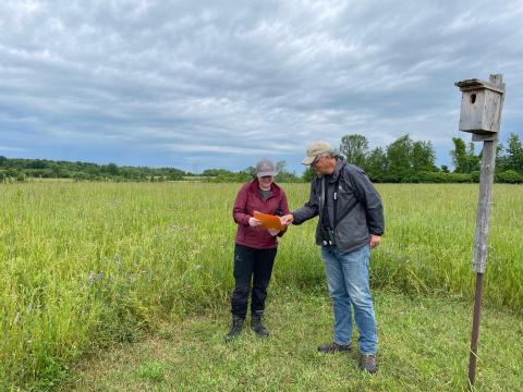 The RRCA can assist landowners looking to establish, maintain, or enhance grasslands on their properties.