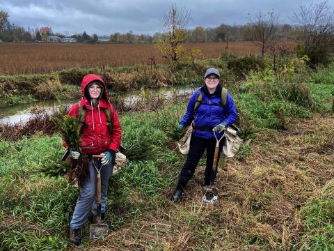 RRCA staff planting a riparian buffer at a farm in Cornwall.