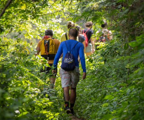 People walking in the forest