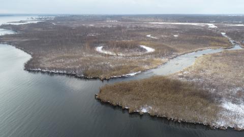 world wetland day